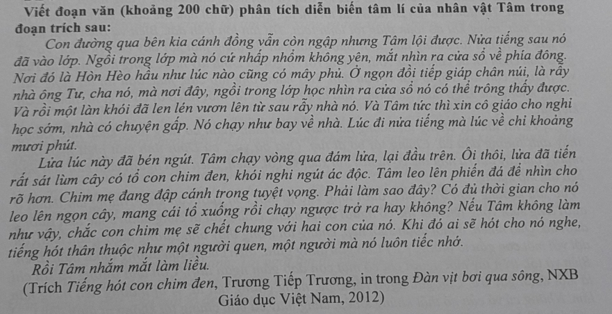 Viết đoạn văn (khoảng 200 chữ) phân tích diễn biến tâm lí của nhân vật Tâm trong
đoạn trích sau:
Con đường qua bên kia cánh đồng vẫn còn ngập nhưng Tâm lội được. Nửa tiếng sau nó
đã vào lớp. Ngồi trong lớp mà nó cứ nhấp nhồm không yên, mắt nhìn ra cửa sổ về phía đông.
Nơi đó là Hòn Hèo hầu như lúc nào cũng có mây phủ. Ở ngọn đồi tiếp giáp chân núi, là rầy
nhà ông Tư, cha nó, mà nơi đây, ngồi trong lớp học nhìn ra cửa sổ nó có thể trông thấy được.
Và rồi một làn khói đã len lén vươn lên từ sau rấy nhà nó. Và Tâm tức thì xin cô giáo cho nghi
học sớm, nhà có chuyện gấp. Nó chạy như bay về nhà. Lúc đi nửa tiếng mà lúc về chi khoảng
mươi phút.
Lửa lúc này đã bén ngút. Tâm chạy vòng qua đám lửa, lại đầu trên. Ôi thôi, lửa đã tiến
sất sát lùm cây có tổ con chim đen, khói nghi ngút ác độc. Tâm leo lên phiến đá để nhìn cho
rõ hơn. Chim mẹ đang đập cánh trong tuyệt vọng. Phải làm sao đây? Có đủ thời gian cho nó
leo lên ngọn cây, mang cái tổ xuống rồi chạy ngược trở ra hay không? Nếu Tâm không làm
như vậy, chắc con chim mẹ sẽ chết chung với hai con của nó. Khi đó ai sẽ hót cho nó nghe,
tiếng hót thân thuộc như một người quen, một người mà nó luôn tiếc nhớ.
Rồi Tâm nhắm mắt làm liều.
(Trích Tiếng hót con chim đen, Trương Tiếp Trương, in trong Đàn vịt bơi qua sông, NXB
Giáo dục Việt Nam, 2012)