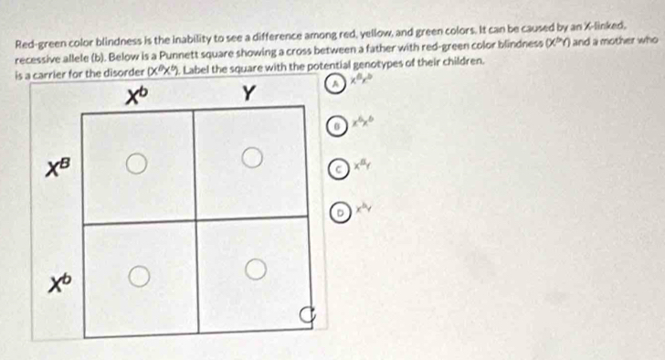 Red-green color blindness is the inability to see a difference among red, yellow, and green colors. It can be caused by an X-linked,
recessive allele (b). Below is a Punnett square showing a cross between a father with red-green color blindness (x^br) and a mother who
or the disorder (x^8x^6) Label the square with the potential genotypes of their children.
x^6x^b
B x^6x^6
C x^8y
D x^by