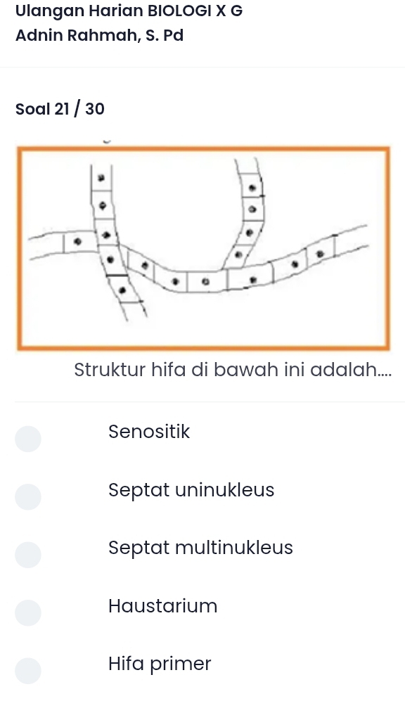 Ulangan Harian BIOLOGI X G
Adnin Rahmah, S. Pd
Soal 21 / 30
Struktur hifa di bawah ini adalah....
Senositik
Septat uninukleus
Septat multinukleus
Haustarium
Hifa primer