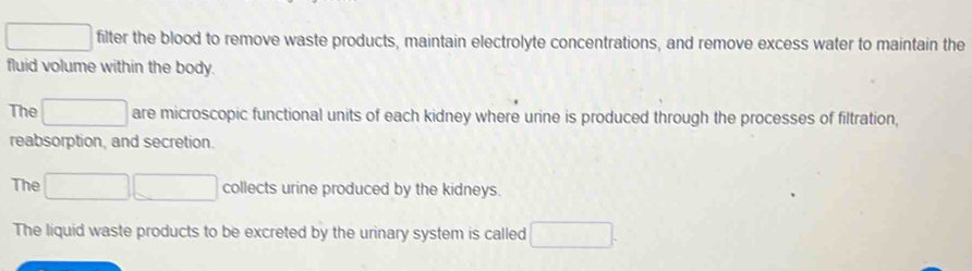 square filter the blood to remove waste products, maintain electrolyte concentrations, and remove excess water to maintain the 
fluid volume within the body. 
The □ are microscopic functional units of each kidney where urine is produced through the processes of filtration, 
reabsorption, and secretion. 
The □ □ collects urine produced by the kidneys. 
The liquid waste products to be excreted by the urinary system is called □ .