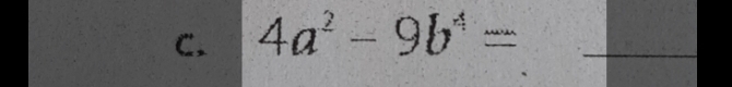 4a^2-9b^4= _