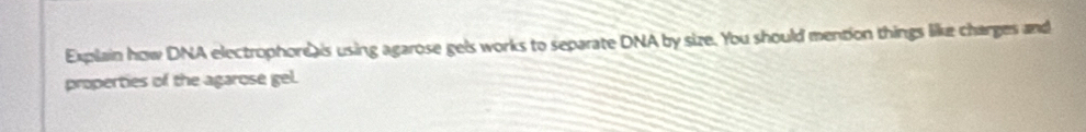 Explain how DNA electrophore is using agarose gels works to separate DNA by size. You should mention things like charges and 
properties of the agarose gel.