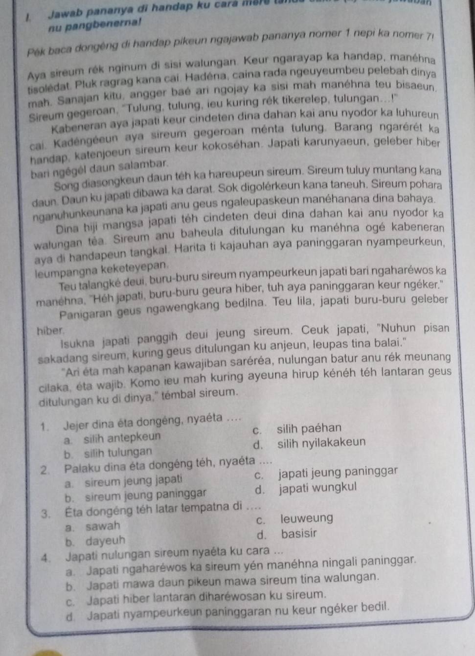 Jawab pananya di handap ku cará mare (3
nu pangbenerna!
Pék baca dongéng di handap pikeun ngajawab pananya nomer 1 nepi ka nomer 75
Aya sireum rék nginum di sisi walungan. Keur ngarayap ka handap, manéhna
tisolédat. Pluk ragrag kana cai. Hadéna, caina rada ngeuyeumbeu pelebah dinya
mah. Sanajan kitu, angger baé ari ngojay ka sisi mah manéhna teu bisaeun.
Sireum gegeroan, "Tulung, tulung, ieu kuring rék tikerelep, tulungan...!
Kabeneran aya japati keur cindeten dina dahan kai anu nyodor ka luhureun
cai. Kadéngéeun aya sireum gegeroan ménta tulung. Barang ngarérét ka
handap, katenjoeun sireum keur kokoséhan. Japati karunyaeun, geleber hiber
bari ngégél daun salambar.
Song diasongkeun daun têh ka hareupeun sireum. Sireum tuluy muntang kana
daun. Daun ku japati dibawa ka darat. Sok digolérkeun kana taneuh. Sireum pohara
nganuhunkeunana ka japati anu geus ngaleupaskeun manéhanana dina bahaya.
Dina hiji mangsa japati téh cindeten deui dina dahan kai anu nyodor ka
walungan tėa. Sireum anu baheula ditulungan ku manéhna ogé kabeneran
aya di handapeun tangkal. Harita ti kajauhan aya paninggaran nyampeurkeun,
leumpangna keketeyepan.
Teu talangké deui, buru-buru sireum nyampeurkeun japati bari ngaharéwos ka
manehna, 'Héh japati, buru-buru geura hiber, tuh aya paninggaran keur ngéker."
Panigaran geus ngawengkang bedilna. Teu lila, japati buru-buru geleber
híber.
Isukna japati panggih deui jeung sireum. Ceuk japati, "Nuhun pisan
sakadang sireum, kuring geus ditulungan ku anjeun, leupas tina balai."
'Ari éta mah kapanan kawajiban saréréa, nulungan batur anu rék meunang
cilaka, éta wajib. Komo ieu mah kuring ayeuna hirup kénéh téh lantaran geus
ditulungan ku di dinya," témbal sireum.
1. Jejer dina éta dongéng, nyaéta ....
a. silih antepkeun c. silih paéhan
b. silih tulungan d. silih nyilakakeun
2. Palaku dina éta dongéng téh, nyaéta ….
a. sireum jeung japati c. japati jeung paninggar
b. sireum jeung paninggar d. japati wungkul
3. Éta dongéng téh latar tempatna di ...
a. sawah c. leuweung
b. dayeuh d. basisir
4. Japati nulungan sireum nyaéta ku cara ...
a. Japati ngaharéwos ka sireum yén manéhna ningali paninggar.
b. Japati mawa daun pikeun mawa sireum tina walungan.
c. Japati hiber lantaran diharéwosan ku sireum.
d. ' Japati nyampeurkeun paninggaran nu keur ngéker bedil.