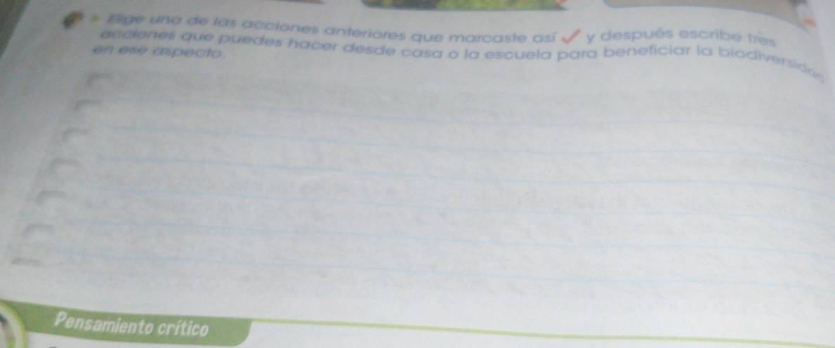 Bige una de las acciones anteriores que marcaste así √ y después escribe très 
en ese aspecto. 
acciones que puedes hacer desde casa o la escuela para beneficiar la biodiverside 
Pensamiento crítico