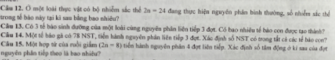 Ô một loài thực vật có bộ nhiễm sắc thể 2n=24 đang thực hiện nguyên phân bình thường, số nhiễm sắc thể 
trong tế bào này tại kĩ sau bằng bao nhiêu? 
Câu 13. Có 3 tế bảo sinh đưỡng của một loài cùng nguyên phân liên tiếp 3 đợt. Có bao nhiêu tế bào con được tạo thành? 
Câu 14. Một tế bảo gà có 78 NST, tiền hành nguyên phân liên tiếp 3 đợt. Xác định số NST có trong tắt cả các tế bảo con? 
Câu 15. Một hợp tử của ruồi giảm (2n-8) tiển hành nguyên phân 4 đợt liên tiếp. Xác định số tâm động ở kỉ sau của đợt 
nguyên phần tiếp theo là bao nhiêu?