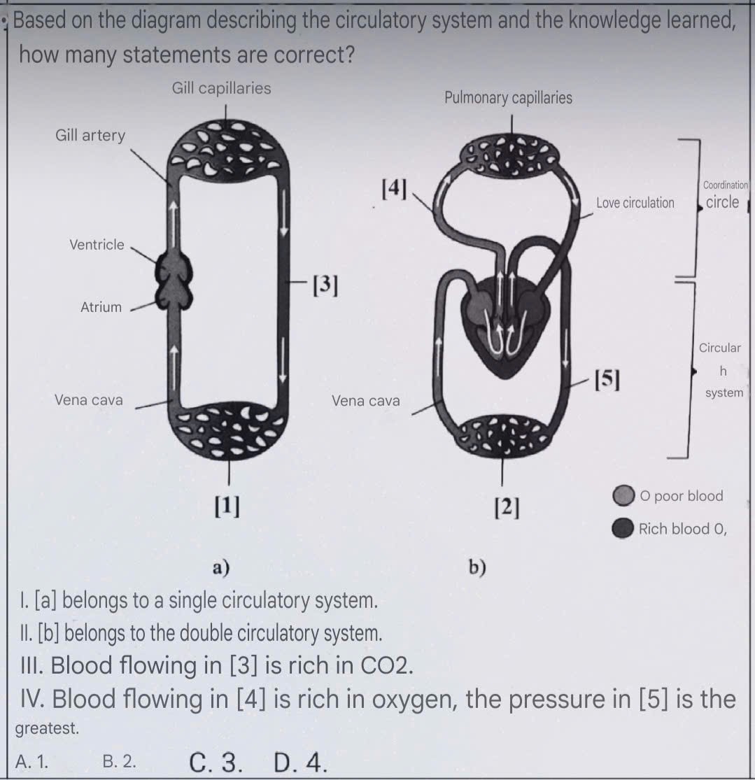 Based on the diagram describing the circulatory system and the knowledge learned,
how many statements are correct?
nation
le
lar
em
a)
b)
I. [a] belongs to a single circulatory system.
II. [b] belongs to the double circulatory system.
III. Blood flowing in [3] is rich in CO2.
IV. Blood flowing in [4] is rich in oxygen, the pressure in [5] is the
greatest.
A. 1. B. 2. C. 3. D. 4.