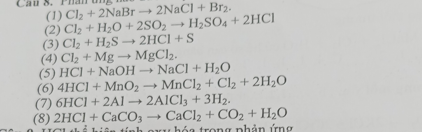 Cau 8. Phân ung Cl_2+2NaBrto 2NaCl+Br_2. 
(1) 
(2) Cl_2+H_2O+2SO_2to H_2SO_4+2HCl
(3) Cl_2+H_2Sto 2HCl+S
(4) Cl_2+Mgto MgCl_2. 
(5) HCl+NaOHto NaCl+H_2O
(6) 4HCl+MnO_2to MnCl_2+Cl_2+2H_2O
(7) 6HCl+2Alto 2AlCl_3+3H_2. 
(8) 2HCl+CaCO_3to CaCl_2+CO_2+H_2O
ó a trong phản ứn g