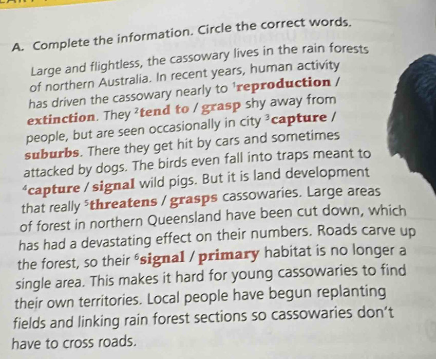 Complete the information. Circle the correct words. 
Large and flightless, the cassowary lives in the rain forests 
of northern Australia. In recent years, human activity 
has driven the cassowary nearly to 'reproduction / 
extinction. They ²tend to / grasp shy away from 
people, but are seen occasionally in city ³capture / 
suburbs. There they get hit by cars and sometimes 
attacked by dogs. The birds even fall into traps meant to 
“capture / signaI wild pigs. But it is land development 
that really threatens / grasps cassowaries. Large areas 
of forest in northern Queensland have been cut down, wh 
has had a devastating effect on their numbers. Roads carve up 
the forest, so their ⁶signal / primary habitat is no longer a 
single area. This makes it hard for young cassowaries to find 
their own territories. Local people have begun replanting 
fields and linking rain forest sections so cassowaries don’t 
have to cross roads.