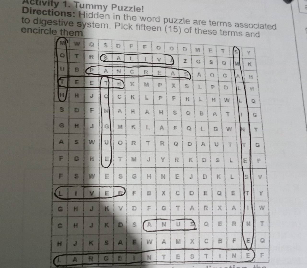 Activity 1. Tummy Puzzle! 
Directions: Hidden in the word puzzle are terms associated 
to digestive system. Pick fifteen (15) of 
enci 
1. A R G E 1 N T E s T 1 N