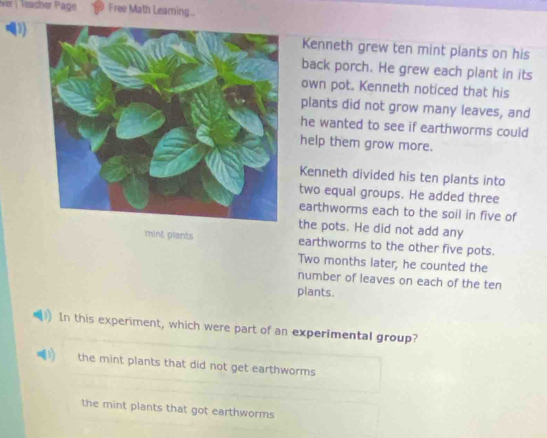 Iver | Teacher Päge Free Math Learning..
Kenneth grew ten mint plants on his
back porch. He grew each plant in its
own pot. Kenneth noticed that his
plants did not grow many leaves, and
he wanted to see if earthworms could
help them grow more.
Kenneth divided his ten plants into
two equal groups. He added three
earthworms each to the soil in five of
the pots. He did not add any
mint plants earthworms to the other five pots.
Two months later, he counted the
number of leaves on each of the ten
plants.
In this experiment, which were part of an experimental group?
the mint plants that did not get earthworms
the mint plants that got earthworms