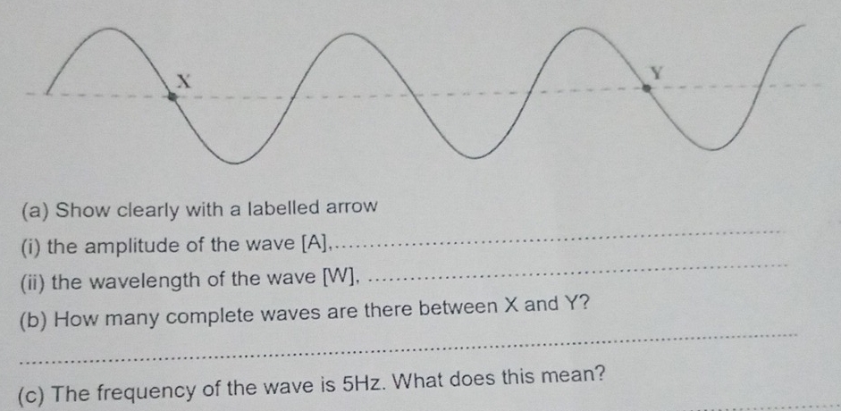 Show clearly with a labelled arrow 
(i) the amplitude of the wave [A], 
(ii) the wavelength of the wave [W], 
_ 
_ 
(b) How many complete waves are there between X and Y? 
(c) The frequency of the wave is 5Hz. What does this mean?