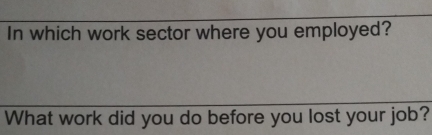 In which work sector where you employed? 
What work did you do before you lost your job?