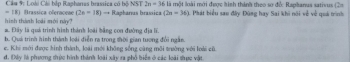 Loài Cái bắp Rapharas brassica có bộ NST 2n=36 là một loài mới được hình thành theo sơ đốc Raphanus sativus (28
=IE 
hìsh thành loài mời này? frassiça oferaceae (2x-18)= Rapharus brassica (2n-36) 4. Phát biểu sao đây Đùng hay Sai khi nói về về quá trình
a. Đây là quá trình hình thành loài bằng con đường địa li.
b. Quá trình hình thành loài diễn ra trong shời gian tương đổi ngắn.
e. Khi mới được hình thành, loài mới không sống cũng môi trường với loài cũ
d. ĐXy là phương thức hình thành loài xây ra phố biển ở các loài thực vật