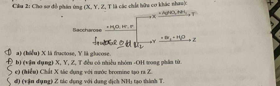 Cho sơ đồ phản ứng (X, Y, Z, T là các chất hữu cơ khác nhau): +
+AgNO_3/NH_3 T
x
Saccharose +H_2O, H^+,t°
Y
+Br_2+H_2O z
a) (hiểu) X là fructose, Y là glucose. 
b) (vận dụng) X, Y, Z, T đều có nhiều nhóm -OH trong phân tử. 
c) (hiểu) Chất X tác dụng với nước bromine tạo ra Z. 
d) (vận dụng) Z tác dụng với dung dịch NH3 tạo thành T.