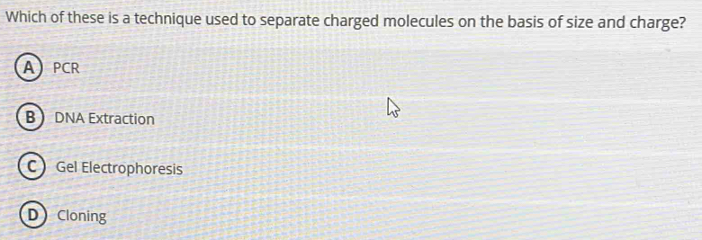 Which of these is a technique used to separate charged molecules on the basis of size and charge?
APCR
B DNA Extraction
C Gel Electrophoresis
D Cloning