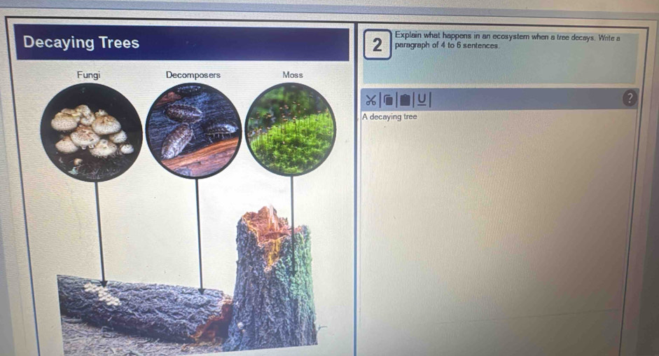 Explain what happens in an ecosystem when a tree decays. Write a
2 paragraph of 4 to 6 sentences. 
ecaying tree