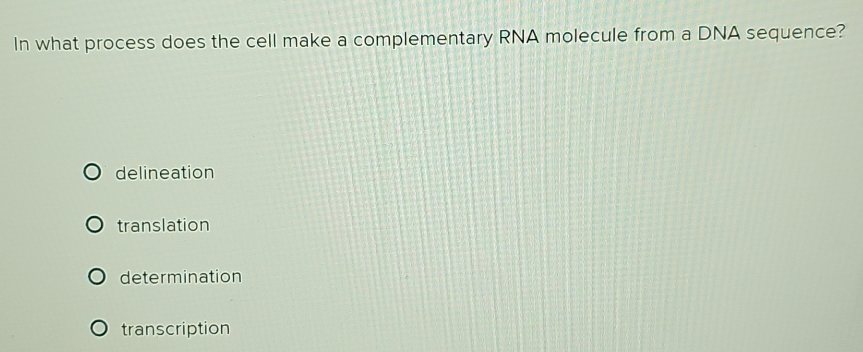 In what process does the cell make a complementary RNA molecule from a DNA sequence?
delineation
translation
determination
transcription