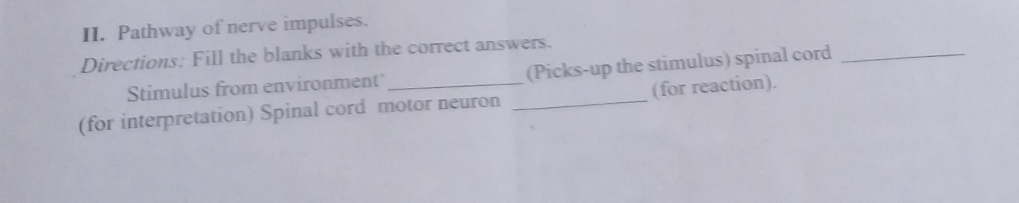 Pathway of nerve impulses. 
Directions: Fill the blanks with the correct answers. 
Stimulus from environment (Picks-up the stimulus) spinal cord_ 
(for interpretation) Spinal cord motor neuron _(for reaction).