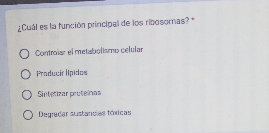 ¿Cuál es la función principal de los ribosomas? *
Controlar el metabolismo celular
Producir lípidos
Sintetizar proteínas
Degradar sustancias tóxicas