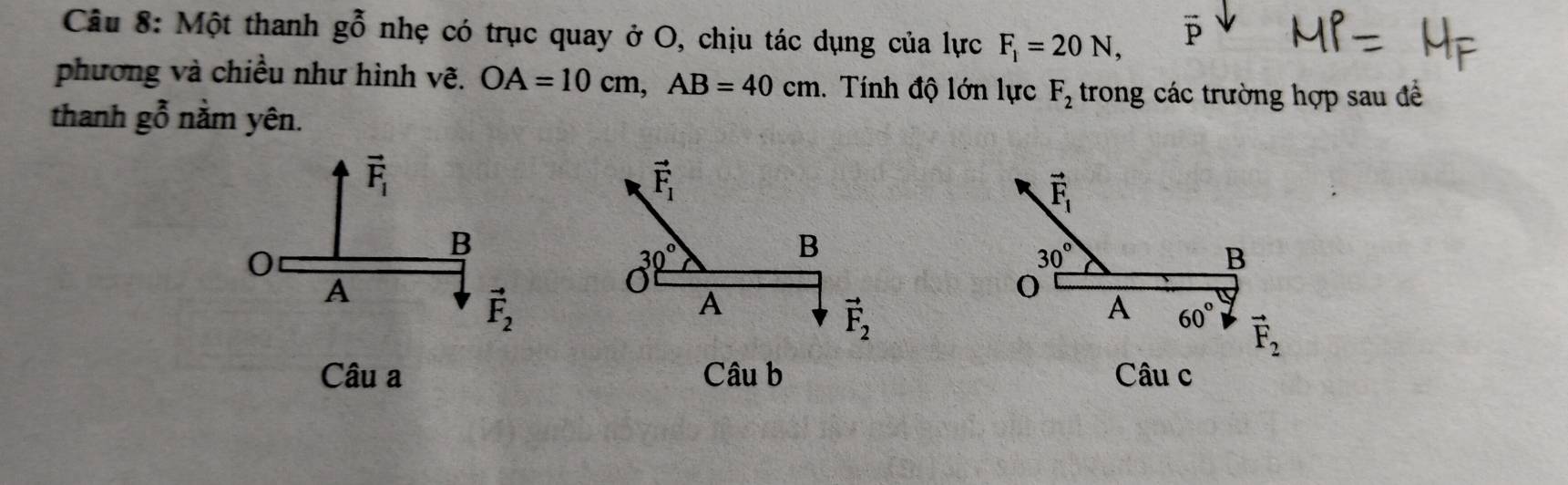 Một thanh ghat O nhẹ có trục quay ở O, chịu tác dụng của lực F_1=20N, 
phương và chiều như hình vẽ. OA=10cm, AB=40cm. Tính độ lớn lực F_2 trong các trường hợp sau đề
thanh gỗ nằm yên.
vector F_1
vector F_1
vector F_1
0
B
30°
B
30°
B
A
vector F_2
A
0
vector F_2
A 60° vector F_2
Câu a Câu b Câu c