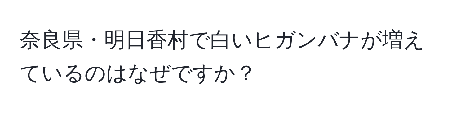 奈良県・明日香村で白いヒガンバナが増えているのはなぜですか？