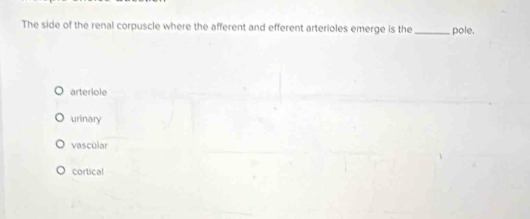 The side of the renal corpuscle where the afferent and efferent arterioles emerge is the _pole.
arteriole
urinary
vascular
cortical