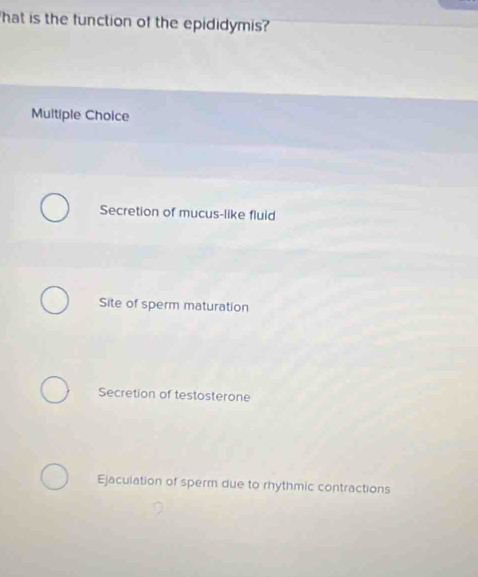 hat is the function of the epididymis?
Multiple Choice
Secretion of mucus-like fluid
Site of sperm maturation
Secretion of testosterone
Ejaculation of sperm due to rhythmic contractions