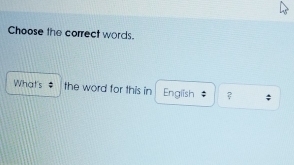 Choose the correct words. 
What's ; the word for this in English ? :