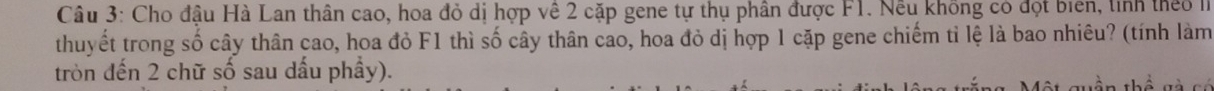 Cho đậu Hà Lan thân cao, hoa đỏ dị hợp về 2 cặp gene tự thụ phân được F1. Nếu không có đọt biển, tinh theo I 
thuyết trong số cây thân cao, hoa đỏ F1 thì số cây thân cao, hoa đỏ dị hợp 1 cặp gene chiếm tỉ lệ là bao nhiêu? (tính làm 
tròn đến 2 chữ số sau dấu phầy). 
a thể T à có