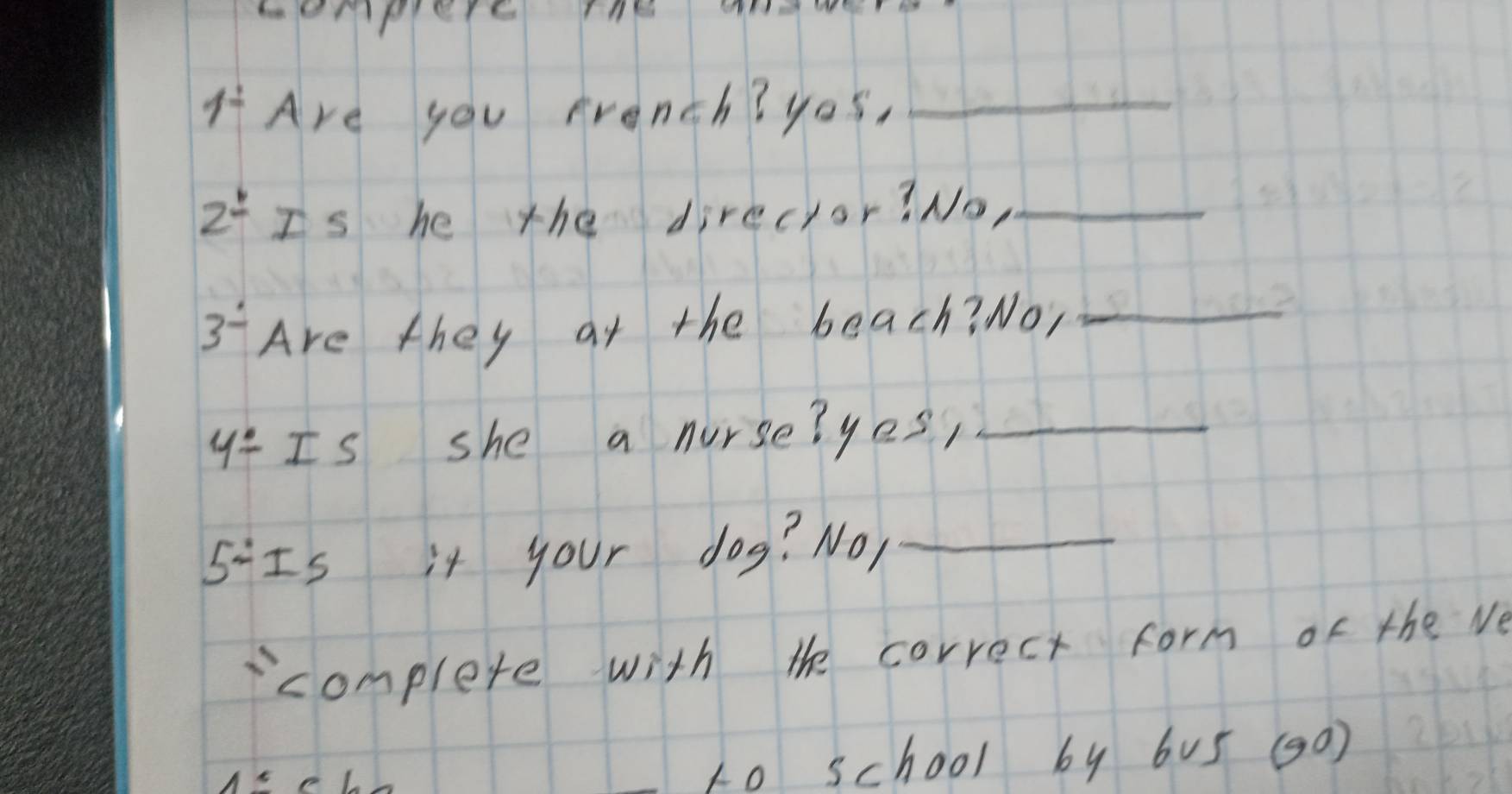 bempler 
H Are you French?yos,_
2^(frac 1) Is he the direcor? No,_ 
3^- Are they at the beach? No,_ 
y° Is she a nurse? yes,_ 
5:Is it your dog? No,_ 
icomplete with the correct form of the Ne 
to school by 605 (90)