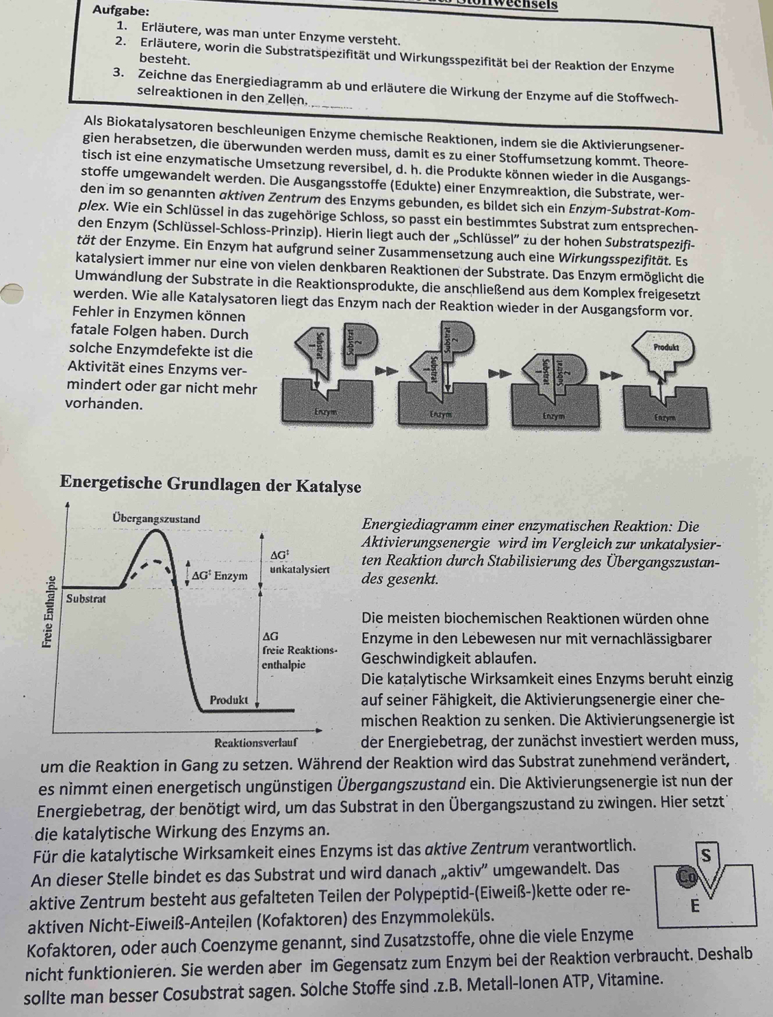 Iweensas
Aufgabe:
1. Erläutere, was man unter Enzyme versteht.
2. Erläutere, worin die Substratspezifität und Wirkungsspezifität bei der Reaktion der Enzyme
besteht.
3. Zeichne das Energiediagramm ab und erläutere die Wirkung der Enzyme auf die Stoffwech-
selreaktionen in den Zellen.
_
Als Biokatalysatoren beschleunigen Enzyme chemische Reaktionen, indem sie die Aktivierungsener-
gien herabsetzen, die überwunden werden muss, damit es zu einer Stoffumsetzung kommt. Theore-
tisch ist eine enzymatische Umsetzung reversibel, d. h. die Produkte können wieder in die Ausgangs-
stoffe umgewandelt werden. Die Ausgangsstoffe (Edukte) einer Enzymreaktion, die Substrate, wer-
den im so genannten aktiven Zentrum des Enzyms gebunden, es bildet sich ein Enzym-Substrat-Kom-
plex. Wie ein Schlüssel in das zugehörige Schloss, so passt ein bestimmtes Substrat zum entsprechen-
den Enzym (Schlüssel-Schloss-Prinzip). Hierin liegt auch der „Schlüssel” zu der hohen Substratspezifi-
tät der Enzyme. Ein Enzym hat aufgrund seiner Zusammensetzung auch eine Wirkungsspezifität. Es
katalysiert immer nur eine von vielen denkbaren Reaktionen der Substrate. Das Enzym ermöglicht die
Umwandlung der Substrate in die Reaktionsprodukte, die anschließend aus dem Komplex freigesetzt
werden. Wie alle Katalysatoren liegt das Enzym nach der Reaktion wieder in der Ausgangsform vor.
Fehler in Enzymen könne
fatale Folgen haben. Durc
solche Enzymdefekte ist d
Aktivität eines Enzyms ver
mindert oder gar nicht me
vorhanden. 
Energetische Grundlagen der Katalyse
Energiediagramm einer enzymatischen Reaktion: Die
Aktivierungsenergie wird im Vergleich zur unkatalysier-
ten Reaktion durch Stabilisierung des Übergangszustan-
des gesenkt.
Die meisten biochemischen Reaktionen würden ohne
Enzyme in den Lebewesen nur mit vernachlässigbarer
Geschwindigkeit ablaufen.
Die kaṭalytische Wirksamkeit eines Enzyms beruht einzig
auf seiner Fähigkeit, die Aktivierungsenergie einer che-
mischen Reaktion zu senken. Die Aktivierüngsenergie ist
der Energiebetrag, der zunächst investiert werden muss,
um die Reaktion in Gang zu setzen. Während der Reaktion wird das Substrat zunehmend verändert,
es nimmt einen energetisch ungünstigen Übergangszustand ein. Die Aktivierungsenergie ist nun der
Energiebetrag, der benötigt wird, um das Substrat in den Übergangszustand zu zwingen. Hier setzt
die katalytische Wirkung des Enzyms an.
Für die katalytische Wirksamkeit eines Enzyms ist das αktive Zentrum verantwortlich. 
An dieser Stelle bindet es das Substrat und wird danach „aktiv” umgewandelt. Das
aktive Zentrum besteht aus gefalteten Teilen der Polypeptid-(Eiweiß-)kette oder re-
aktiven Nicht-Eiweiß-Anteilen (Kofaktoren) des Enzymmoleküls.
Kofaktoren, oder auch Coenzyme genannt, sind Zusatzstoffe, ohne die viele Enzyme
nicht funktionieren. Sie werden aber im Gegensatz zum Enzym bei der Reaktion verbraucht. Deshalb
sollte man besser Cosubstrat sagen. Solche Stoffe sind .z.B. Metall-Ionen ATP, Vitamine.