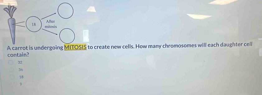 A carrot is undergoing MITOSIS to create new cells. How many chromosomes will each daughter cell
contain?
32
36
18
9