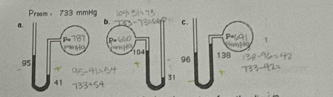 Proom， 733 mmHg
a. 
b. 
c. 
P 
p P=
104 138
95
96
t
31
41