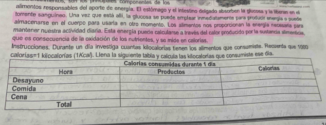 entos, sunlos prncípales componentes de los 
alimentos responsables del aporte de energía. El estómago y el intestino delgado absorben la glucosa y la liberan en el 
torrente sanguíneo. Una vez que está allí, la glucosa se puede emplear inmediatamente para producir energía o puede 
almacenarse en el cuerpo para usaría en otro momento. Los alimentos nos proporcionan la energía necesaría para 
mantener nuestra actividad diaria. Esta energía puede calcularse a través del calor producido por la sustancia alimenticia, 
que es consecuencia de la oxidación de los nutrientes, y se mide en calorías. 
Instrucciones. Durante un día investiga cuantas kilocalorías tienen los alimentos que consumiste. Recuerda que 1000
calorías=1 kilocalorías (1Kca/). Llena la siguiente tabla y carías que consumiste ese día.