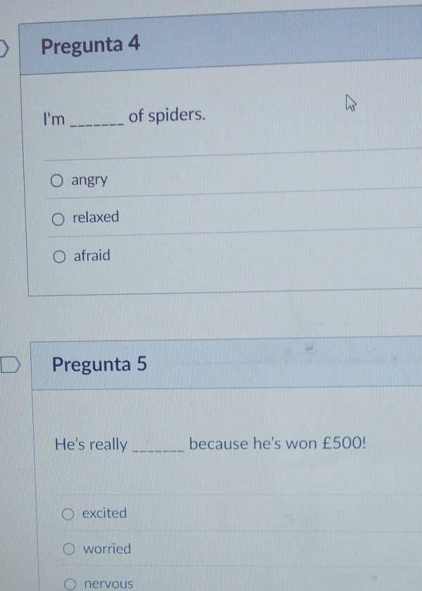 Pregunta 4
I'm _of spiders.
angry
relaxed
afraid
Pregunta 5
He's really _because he's won £500!
excited
worried
nervous