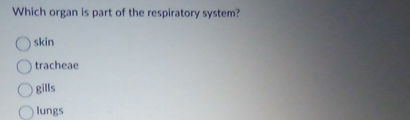 Which organ is part of the respiratory system?
skin
tracheae
gills
lungs