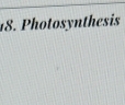 Photosynthesis