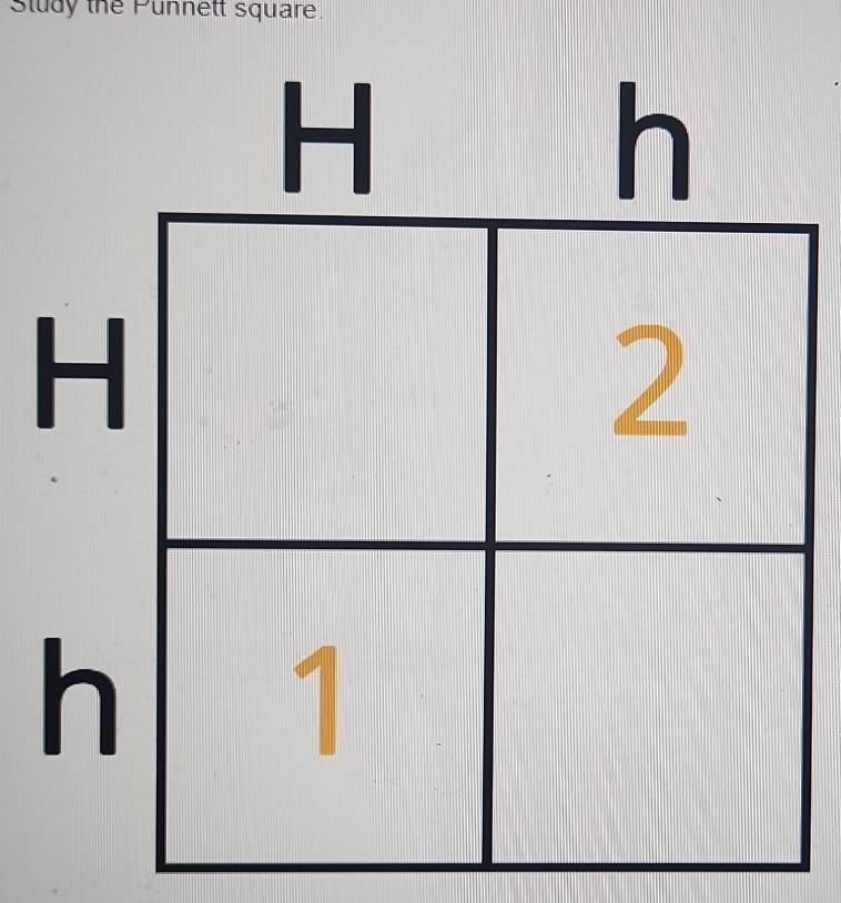 Study the Punnett square.