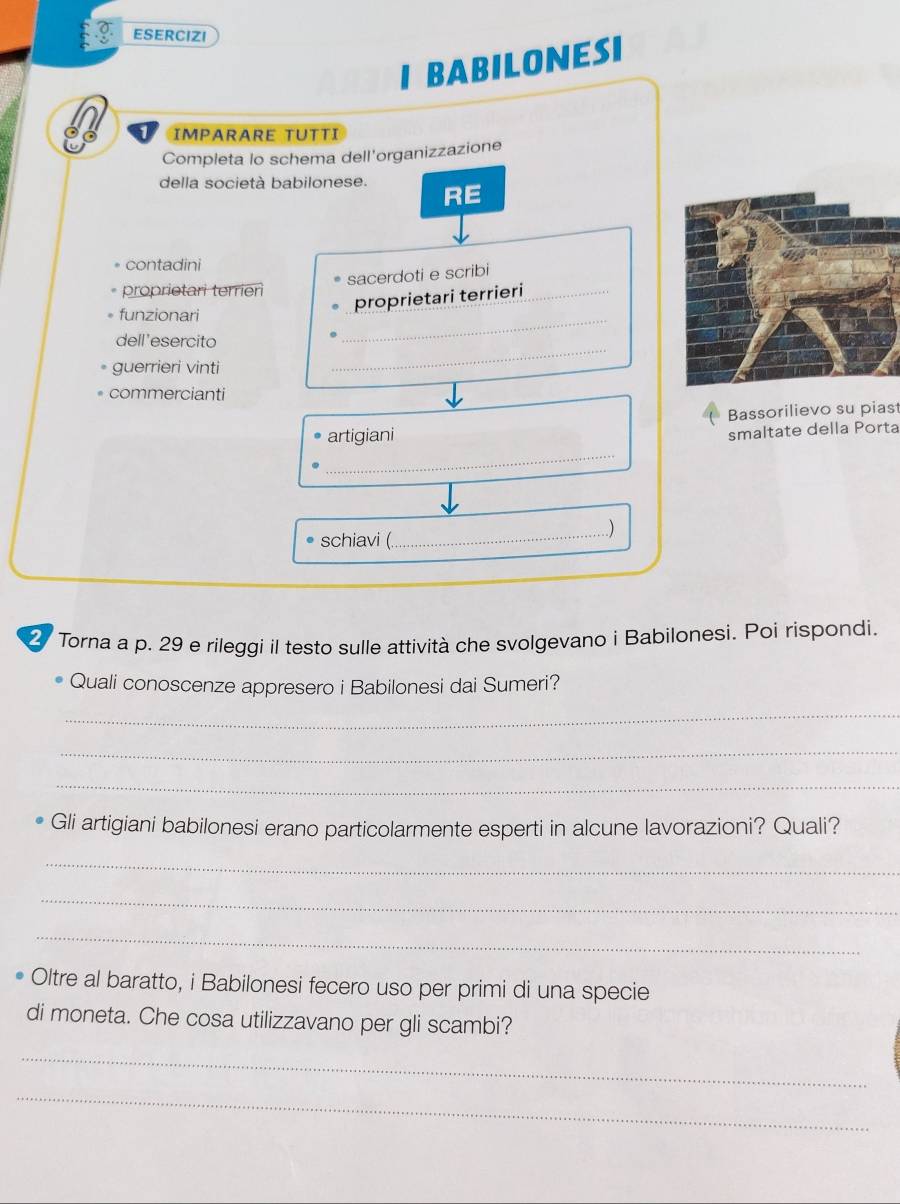 ESERCIZI 
I BaBilonESI 
IMPARARE TUTTI 
Completa lo schema dell'organizzazione 
della società babilonese. RE 
contadini 
sacerdoti e scribi 
proprietari terrieri 
funzionari 
proprietari terrieri 
dell'esercito 
_ 
guerrieri vinti 
_ 
commercianti 
_ 
artigiani Bassorilievo su piast 
smaltate della Porta 
schiavi (. 
_) 
2 Torna a p. 29 e rileggi il testo sulle attività che svolgevano i Babilonesi. Poi rispondi. 
Quali conoscenze appresero i Babilonesi dai Sumeri? 
_ 
_ 
_ 
Gli artigiani babilonesi erano particolarmente esperti in alcune lavorazioni? Quali? 
_ 
_ 
_ 
Oltre al baratto, i Babilonesi fecero uso per primi di una specie 
di moneta. Che cosa utilizzavano per gli scambi? 
_ 
_