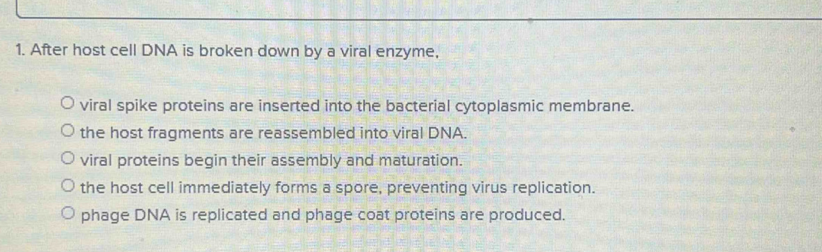 After host cell DNA is broken down by a viral enzyme,
viral spike proteins are inserted into the bacterial cytoplasmic membrane.
the host fragments are reassembled into viral DNA.
viral proteins begin their assembly and maturation.
the host cell immediately forms a spore, preventing virus replication.
phage DNA is replicated and phage coat proteins are produced.