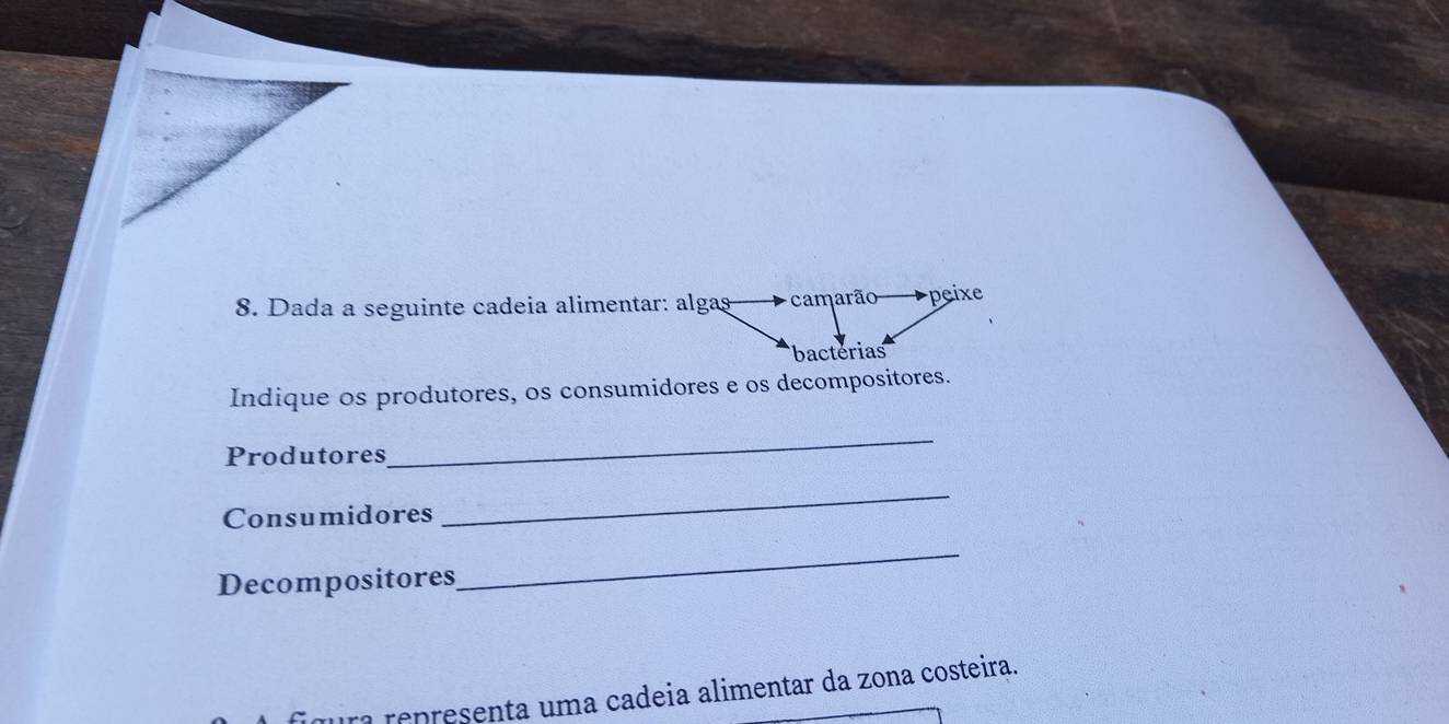 Imprimir Planos de Aula - Nova Escola, image size:1324x662