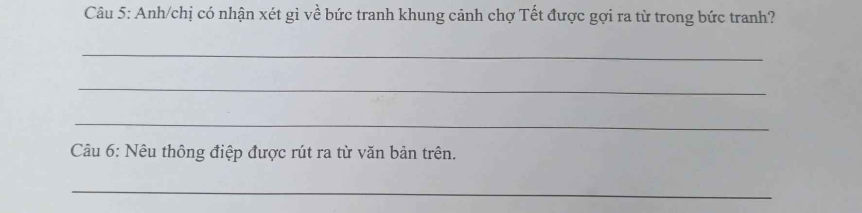 Anh/chị có nhận xét gì về bức tranh khung cảnh chợ Tết được gợi ra từ trong bức tranh? 
_ 
_ 
_ 
Câu 6: Nêu thông điệp được rút ra từ văn bản trên. 
_