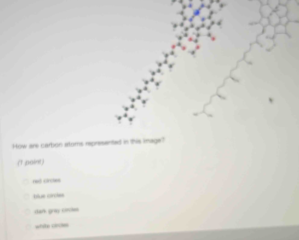 How are carbon atoms represented in this image?
(1 point)
red cirotes
blue circles
dark gray cimles
white circles