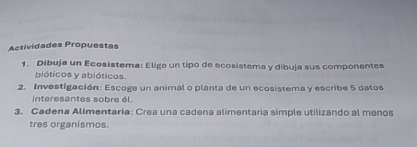 Actividades Propuestas 
1. Dibuja un Ecosistema: Elige un tipo de ecosistema y dibuja sus componentes 
bióticos y abióticos. 
2. Investigación: Escoge un animal o planta de un ecosistema y escribe 5 datos 
interesantes sobre él. 
3. Cadena Alimentaria: Crea una cadena alimentaria simple utilizando al menos 
tres organismos.