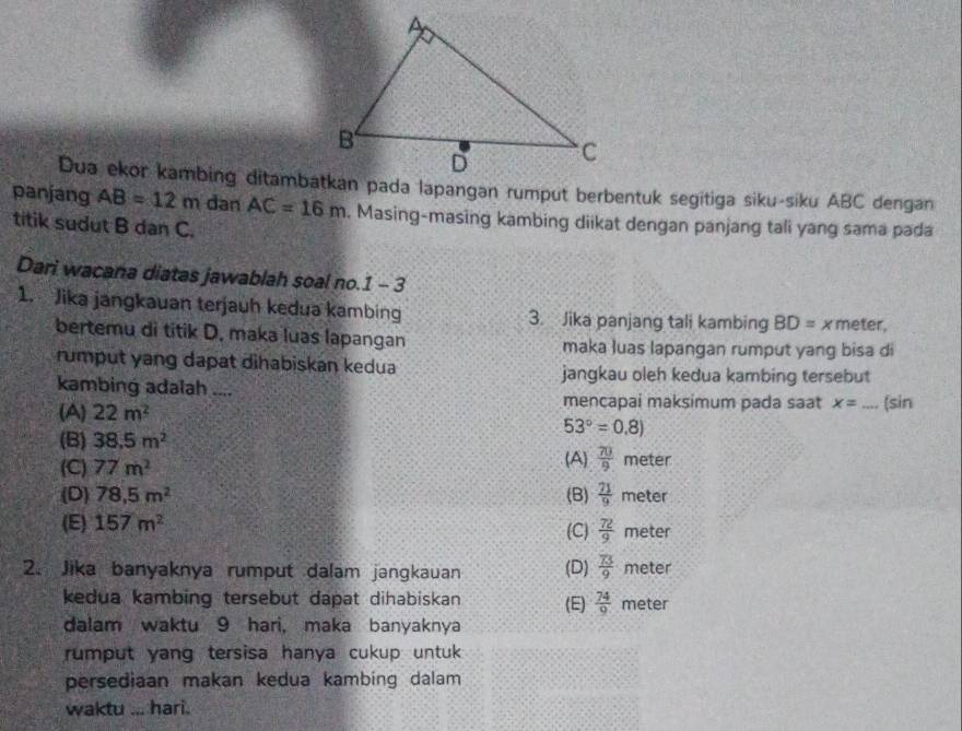 panjang AB=12m dan AC=16m. Masing-masing kambing diikat dengan panjang tali yang sama pada
titik sudut B dan C.
Dari wacana diatas jawablah soal no.1 - 3
1. Jika jangkauan terjauh kedua kambing 3. Jika panjang tali kambing BD= x meter,
bertemu di titik D. maka luas lapangan maka luas lapangan rumput yang bisa di
rumput yang dapat dihabiskan kedua jangkau oleh kedua kambing tersebut
kambing adalah ....
mencapai maksimum pada saat x= _(sin
(A) 22m^2 53°=0.8)
(B) 38.5m^2
(C) 77m^2 (A)  70/9  meter
(D) 78.5m^2 (B)  71/9  meter
(E) 157m^2 (C)  72/9  meter
2. Jika banyaknya rumput dalam jangkauan (D)  73/9  meter
kedua kambing tersebut dapat dihabiskan (E)  74/9  meter
dalam waktu 9 hari, maka banyaknya
rumput yang tersisa hanya cukup untuk 
persediaan makan kedua kambing dalam
waktu ... hari.