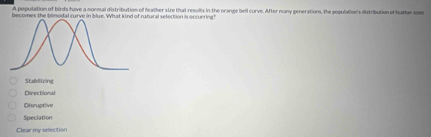 A population of birds have a normal distribution of feather size that results in the orange bell curve. After many generations, the population's distribution of feather sizes
becomes the bimodal curve in blue. What kind of natural selection is occurring?
Stabilizing
Directional
Disruptive
Speciation
Clear my selection