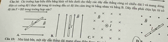 Các trường hợp biểu điễn bang hình về bên dưới cho thấy các dây dẫn thắng cùng có chiều dài l và mang dòng,
điện có cường độ I được đặt trong từ trường đều có độ lớn cảm ứng từ bằng nhau và bằng B. Dây dẫn phải chịu lực từ có
độ lớn F=BIl trong trường hợp nào?
× × × ×
vector B overline B
L vector B
× × × overline B
I
I
× × x
A.
B.
C. × × D
Câu 15: Như hình bên, một dây dẫn thẳng dài mạng dòng điện ở