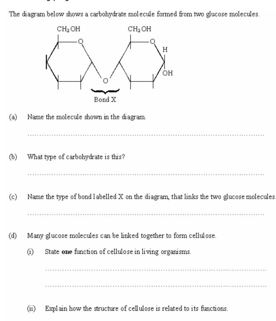 The diagram below shows a carbohydrate molecule formed from two glucose molecules.
(a) Name the molecule shown in the diagram.
_
(b) What type of carbohydrate is this?
_
(c) Name the type of bond l abelled X on the diagram, that links the two glucose molecules.
_
(d) Many glucose molecules can be linked together to form cellulose.
(i) State one function of cellulose in living organisms.
_
_
(ii) Explain how the structure of cellulose is related to its functions.