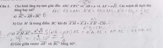 Cho hình lăng trụ tam giác đều ABC.A'B'C' có AB=a và AA'=asqrt(2). Các mệnh đề dựới đây 
đúng hay sai? 
a) AC = AB + BC
b) Gọi M là trung điểm BC khi đó overline A'M=overline A'A+overline A'B'-overline CM
c) A MAC = 0 5 
d) Góc giữa vecto vector AB' và vector BC' bāng 60°.