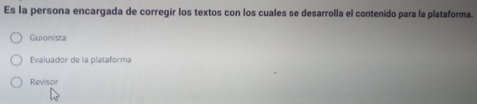 Es la persona encargada de corregir los textos con los cuales se desarrolla el contenido para la plataforma.
Guionista
Evaluador de la plataforma
Revisor